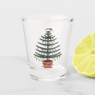 Verre A Shot Sapin de Noël de l'île Norfolk en pot Araucaria