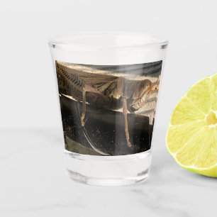 Verre A Shot Sauterelle