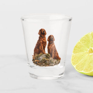 Verre A Shot Setter irlandais