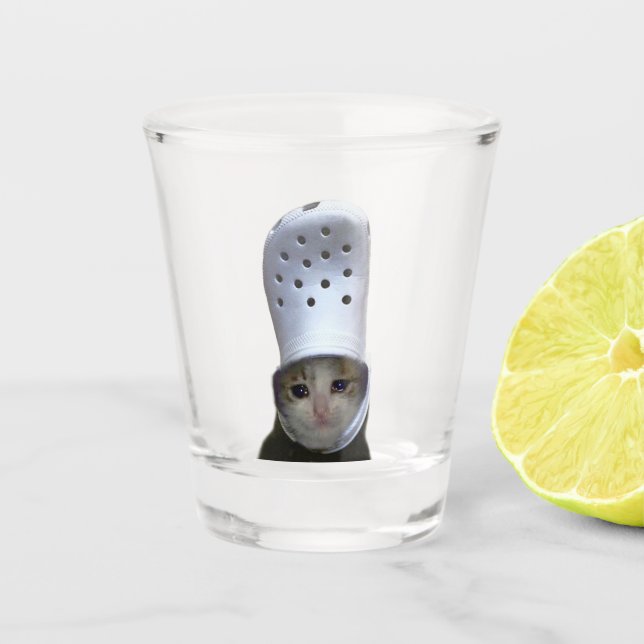 Verre A Shot Shot Glass Crying Cat Croc Hat Meme (Devant)