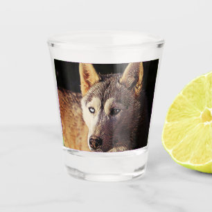 Verre A Shot smartmix animal- loup