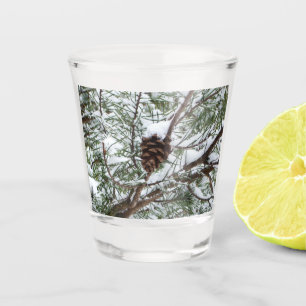 Verre A Shot Snowy Pine Cône II hiver Photographie de la nature