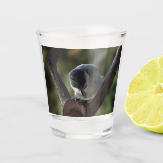 Verre A Shot Tidi my Bird le Parus Major