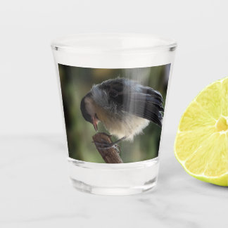 Verre A Shot Tidi my Bird le Parus Major