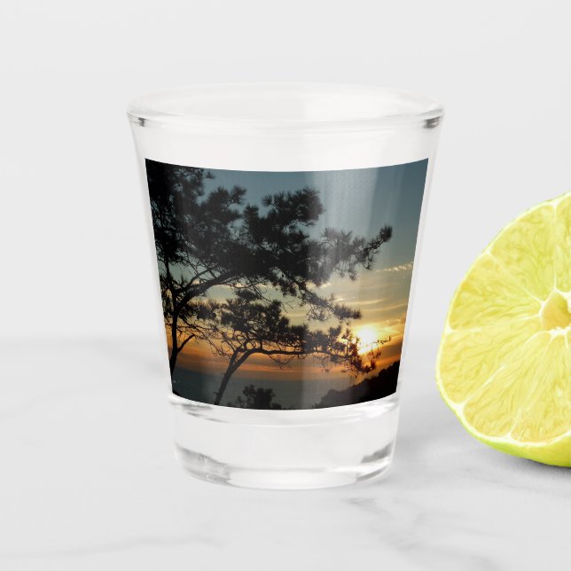 Verre A Shot Tourrey Pine Sunset I California Paysage (Devant)