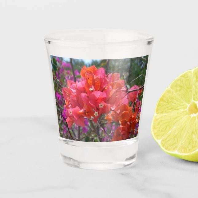 Verre A Shot Tropical Pink Bougainvillea Island Floral (Devant)
