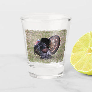 Verre A Shot Turquie sauvage