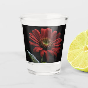Verre A Shot Une Faisée Rouge Sur Le Côté Noir Gauche,