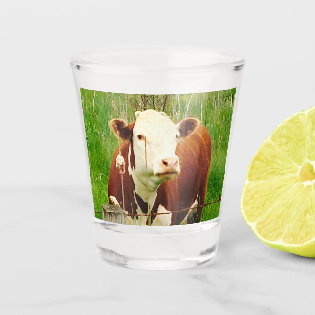 Verre A Shot Vache Croustillante 4Cate (Devant)
