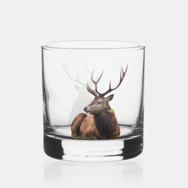 Verre À Whisky Cerf (Recto)