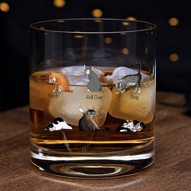 Verre À Whisky Graphique de formation illustré des commandes drôl (Créateur téléchargé)