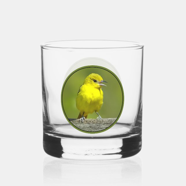 Verre À Whisky Oriole de verger - Photographie originale (Recto)
