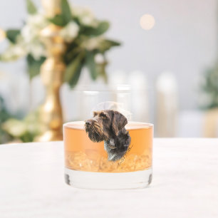 Verre À Whisky Pointeur À poils durs allemand