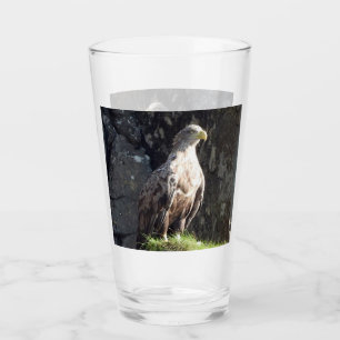 Verre Aigle majestueux à queue blanche falaise sauvage e