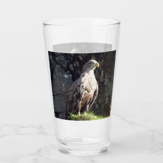Verre Aigle majestueux à queue blanche falaise sauvage e (Devant)