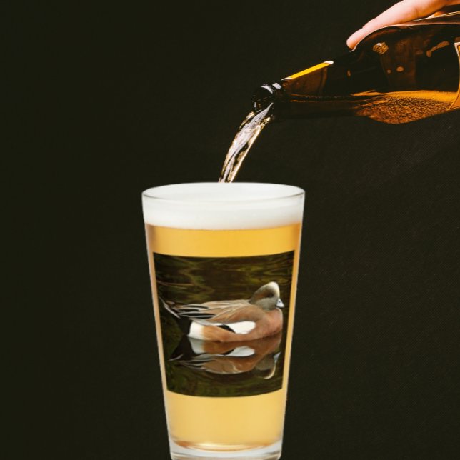 Verre American Wigeon Duck on Pond (In Situ)