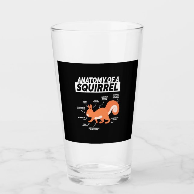 Verre Anatomie D'Un Écureuil (Devant)