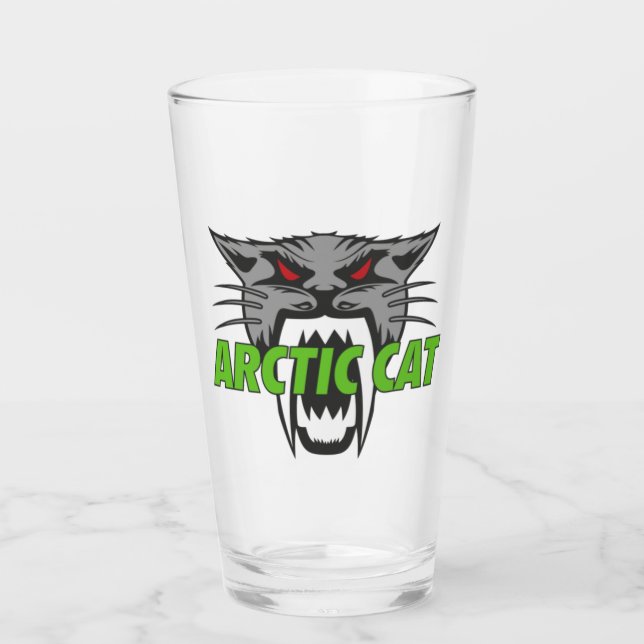 Verre Arctic cat (Devant)