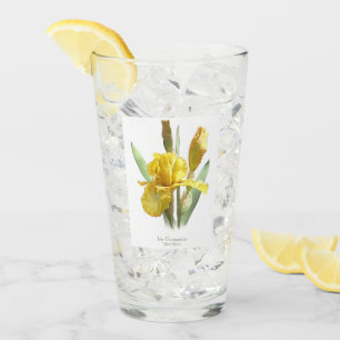 Verre Art botanique jaune Iris
