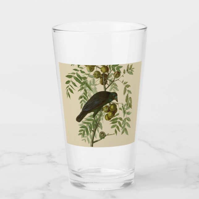 Verre Audubon American Crow Black Bird (Devant)