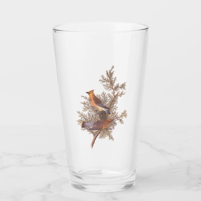 Verre Audubon Cèdre cire oiseau (Devant)