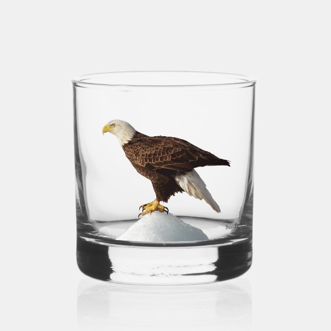 Verre Bald Eagle (Recto)