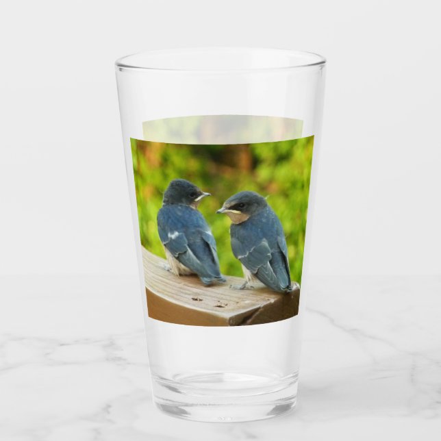 Verre Bébé Grange hirondelle Nature Oiseau Photographie (Devant)