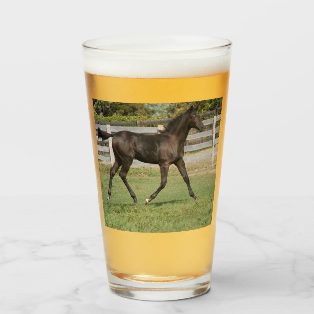 Verre Belle course de chevaux dans un champ (Devant (rempli))