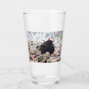 Verre Blackbird d'hiver