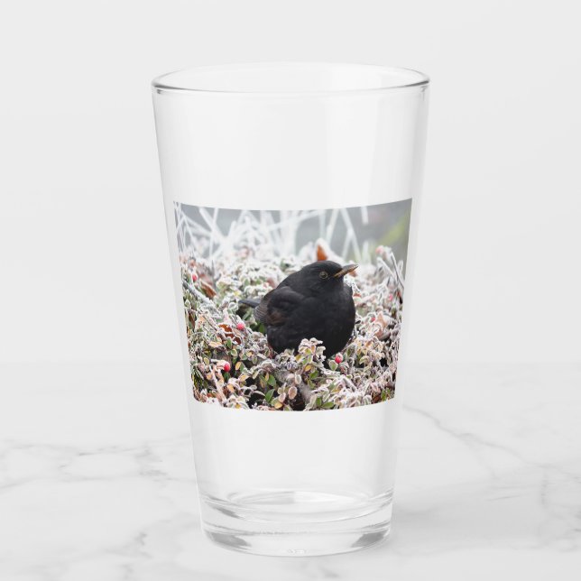 Verre Blackbird d'hiver (Devant)