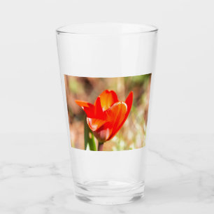 Verre Blossom de la tulipe rouge