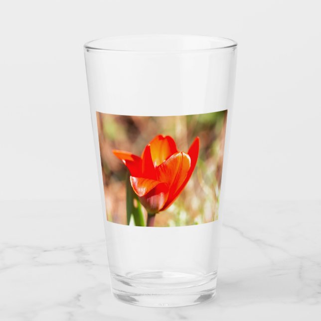 Verre Blossom de la tulipe rouge (Devant)
