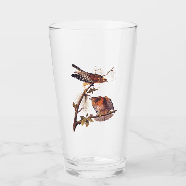 Verre Buse à épaulettes roux Audubon Oiseau de proie (Devant)