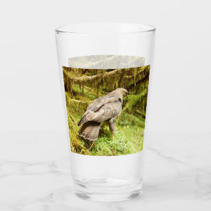 Verre Buse à la recherche de vers Oiseau Faune Nature Dé