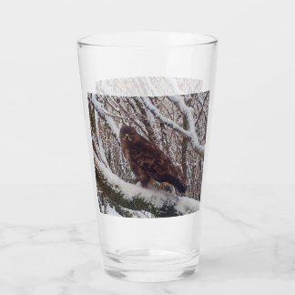 Verre Buzzard sur la branche de neige