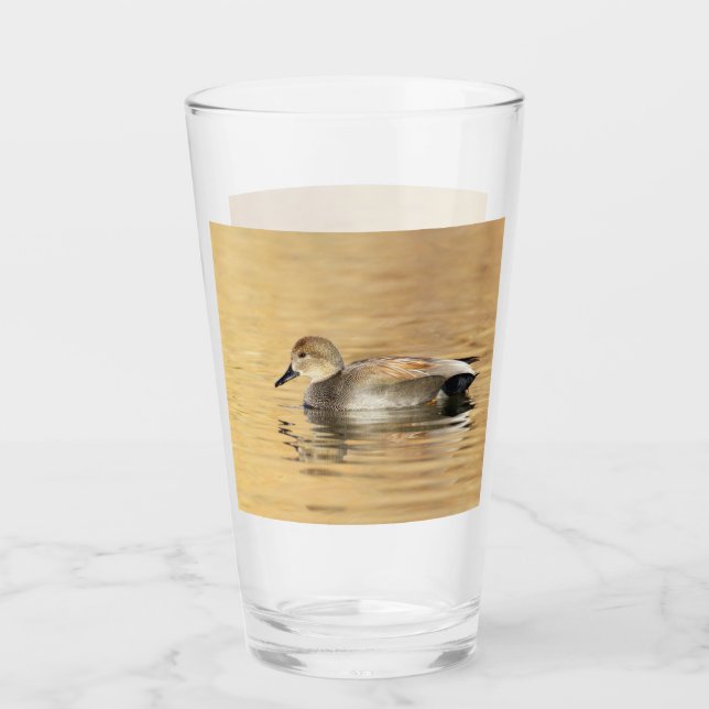 Verre Canard colvert mâle (Devant)