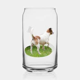 Verre Canette "Alerte et prêt : Un Terrier renard Brown et blanc