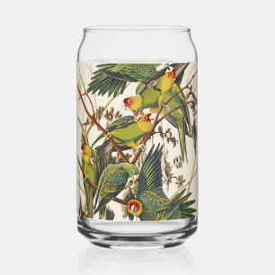 Verre Canette Art ancien d'oiseau de Audubon Perruche de Carolin