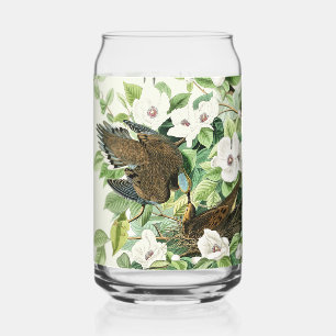 Verre Canette Art vintage d'Audubon sur la tourterelle triste et
