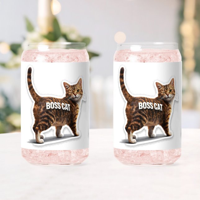 Verre Canette Boss cat winking tabby bear can (Insitu (Mariage))