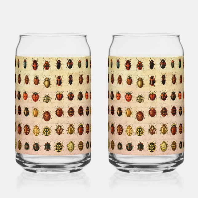 Verre Canette Bug d'insectes coccinelle de coccinelle (Recto)