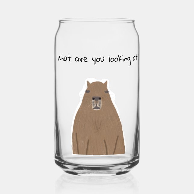 Verre Canette Capybara ce que vous regardez Drinkware Set (Recto)