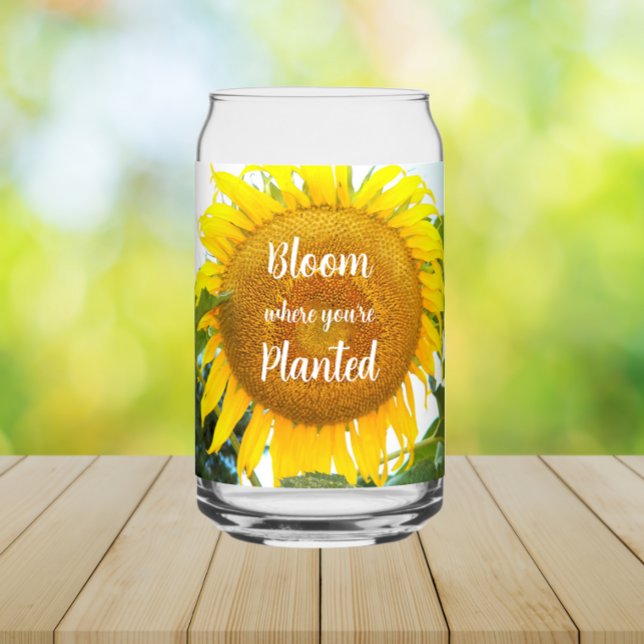 Verre Canette Fleur où vous êtes planté Tournesol Jaune (In Situ)
