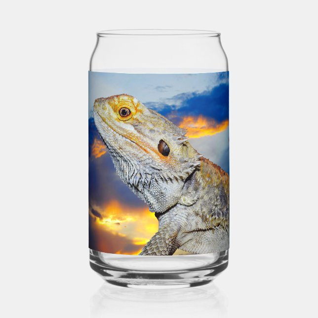 Verre Canette Lézard gris au coucher du soleil (Verso)