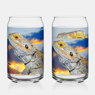 Verre Canette Lézard gris au coucher du soleil