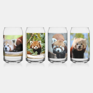 Verre Canette Panda roux