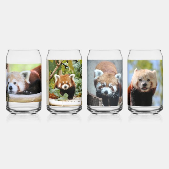 Verre Canette Panda roux (Recto)