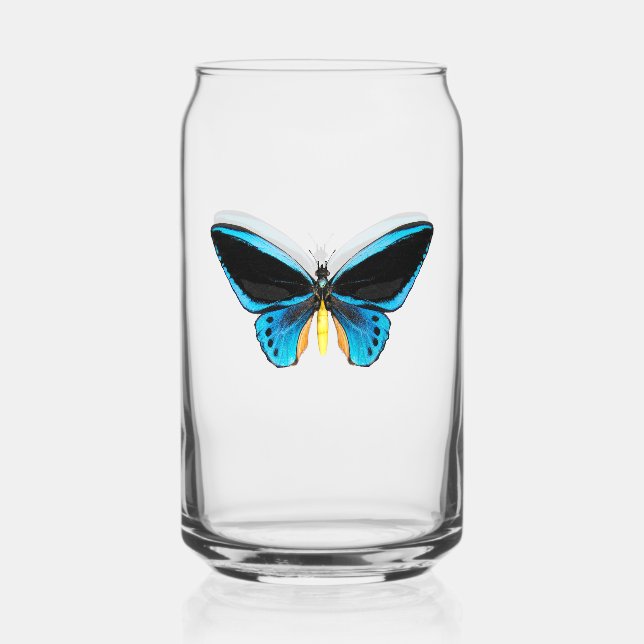 Verre Canette Papillon Birdwing (Recto)