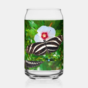 Verre Canette Papillon zébrée sur un Hibiscus rouge
