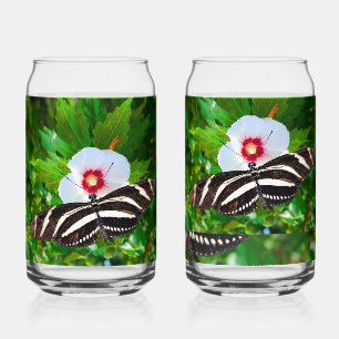 Verre Canette Papillon zébrée sur un Hibiscus rouge